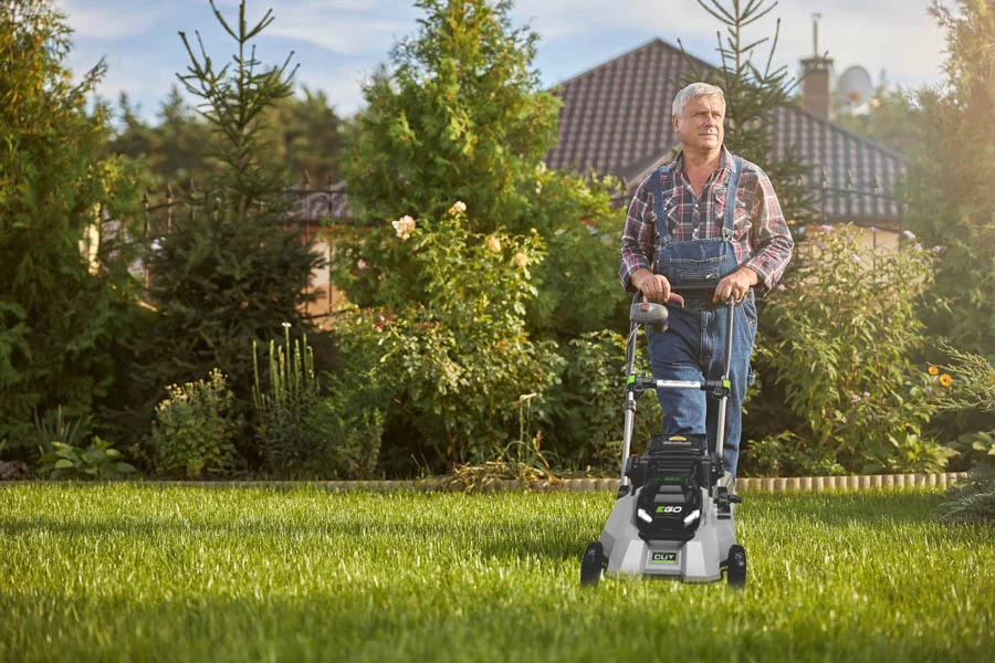 small lawn cutter